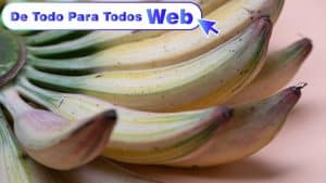 Curso de Industrias Procesadoras del Plátano